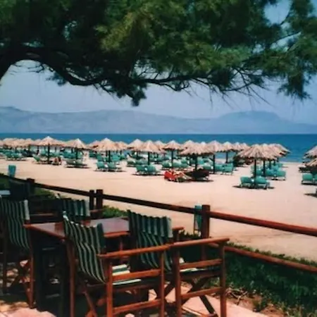 Olive Tree Farm 200m From The Holiday home