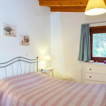 Olive Tree Farm 200m From The Holiday home *