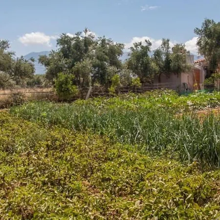 Holiday home Olive Tree Farm 200m From The Episkopi (Rethymno)