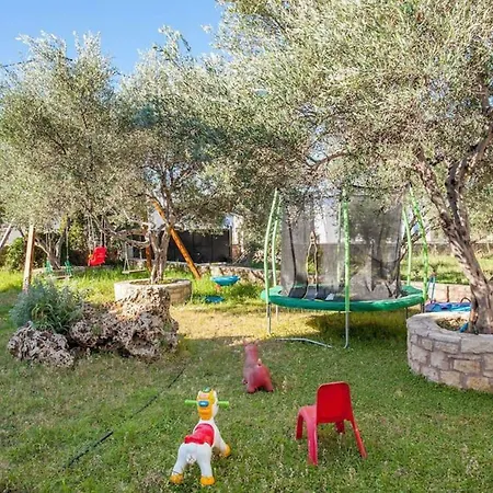 Olive Tree Farm 200m From The Holiday home