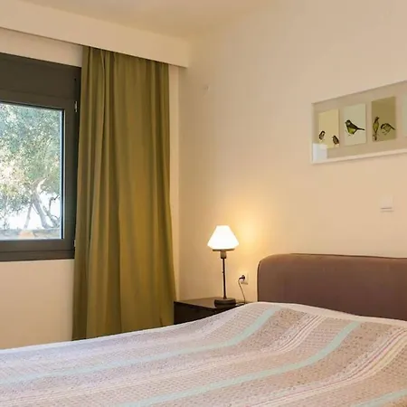 Olive Tree Farm 200m From The Episkopi (Rethymno)