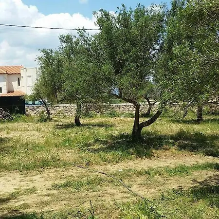 Holiday home Olive Tree Farm 200m From The Episkopi (Rethymno)