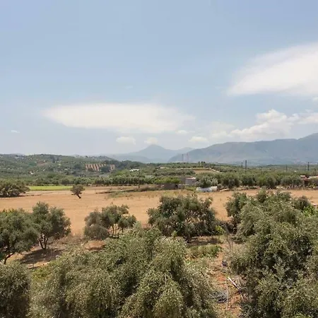 Olive Tree Farm 200m From The *
