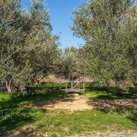 Olive Tree Farm 200m From The * Episkopi-Chania
